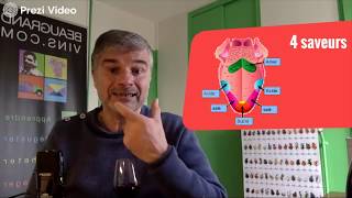 Le goût du vin (apprendre à déguster les vins rouges, 3ème partie) Analyse gustative