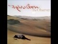 New Born - The Observer