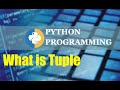 Python Tutorial for Beginners Tuples in Python