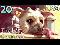 The Last Guardian Walkthrough Part 20 - Trico Vs Evil Trico (PS4 Gameplay)