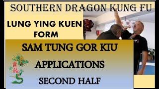 SOUTHERN DRAGON KUNG FU (LUNG YING KUEN) -  APPLICATIONS OF THE SECOND HALF OF SAM TUNG GOR KIU FORM