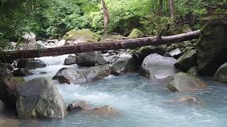 霧島ロマン青い川（霧島川）を歩いてみる