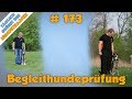 TGH 173 : Begleithundeprüfung - Was ist das und wofür braucht man sie? - Hundetraining Hundeschule