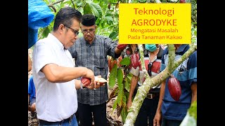 Teknologi Agrodyke Mengatasi Masalah Pada Tanaman Kakao Aplikasi di Kabupaten Bulukumba, tahun 2020.