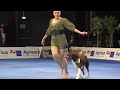 Dog dance world championships 2022, France (Gabi & Hikke)