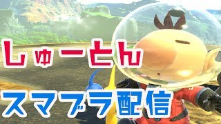 【灯火の星】ウメブラ2連覇したかった【スマブラSP】