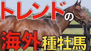 日本競馬界で最も熱い海外種牡馬は？2歳世代の輸入頭数ランキング。