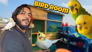 ছাদে পাখির জন্য নতুন ঘর বানিয়েছি । New Bird Room