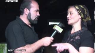 REPORTAJ VIDEO - Bruna De Maramures Intre Patriotism Local Si Particularitate