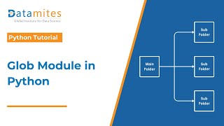 How to Use the Glob Module in Python | Python Tutorial