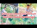 Berkah Kemarau untuk petani ini #vidio kebun #pedesaan #kemarau