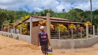 FARTURA NO SÍTIO LOGO CEDINHO FUI TIRAR BASTANTE FRUTAS PARA MEUS FILHOS LEVAREM PARA MACEIÓ