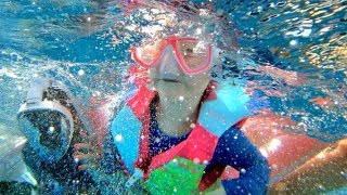 ADLEY SWIMS WITH FISH!! Family Snorkel Routine in Hawaii - she is a pretend mermaid!