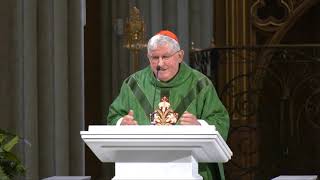 We Must Be Transformed, Not Conformed: Cardinal Collins' Sunday Homily