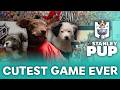 🐾🐶 2026 Stanley Pup 🐾🐶 | Featuring the Cutest Puppies You've Ever Seen!