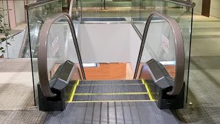 ラスカ平塚 エスカレーター 下り 6～4F【日立】Escalator,Lusca Hiratsuka(HITACHI)