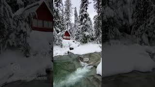 A true winter wonderland! #winterwonderland # #hiking #snowhike #magical #snowshoe #peaceful