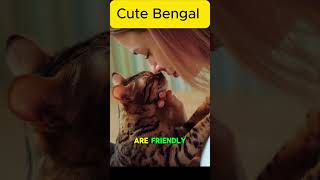 Some facts about Bengal Cat 🐾💖 #bengalcat #cat #cats #catlover  #catshorts  #shorts #viralshorts