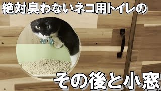 【DIY】絶対臭わないネコトイレのその後。改良点と小窓を作ってみた