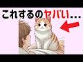 猫の雑学【50選】 #雑学 #豆知識 #猫