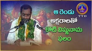 ఆ రెండు అక్షరాలతో కోటి విష్ణునామ ఫలం || SVBC TTD