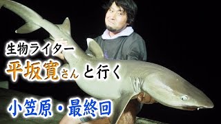 生物ライター・平坂さんと行く小笠原旅 最終回 〜小笠原の自然を大満喫！！〜