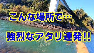 【寒チヌ入れ食い】【劇浅の堤防】に気まぐれでカニを落とすと…強烈なアタリ連発！【寒チヌ攻略】【０円エサ】