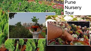 कुछ पौधे छोटे नर्सरी में ही मिलेंगे | Small Nursery Tour in Pune || NV Garden