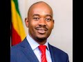 Nelson Chamisa Dancing Kongonya Video goes Viral   MDC Alliance President dancing