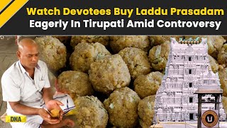 Tirupati Laddu Row: Devotees Buy Laddu Amid 'Animal Fat' Claim In Tirupati Prasadam At Balaji Temple