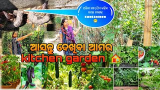 କୁହନ୍ତୁ କେମିତି ହେଇଛି ଆମର kitchen garden 🏡//କିଏ କହିବ ପରିବା ନାମ୍ 😁#odiavlogger