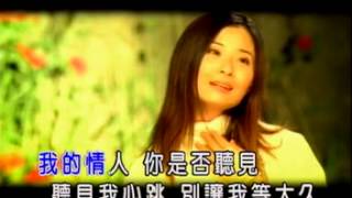 《別讓我等太久》作詞：阿丹 / 作曲：吳欽文  // 收錄林姍2002年發行的專輯【台灣最美麗的聲音～流雲；為君愁】