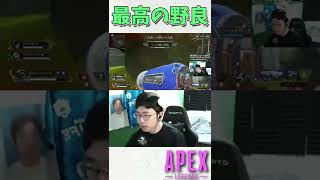 野良の報告のおかげで勝てた瞬間【APEX/marunnn】#shorts