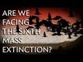 Are We Facing the Sixth Mass Extinction? - Instant Egghead #24