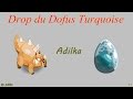 Drop Dofus Turquoise sur Dragon cochon 2.23 #4