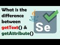 getText() and getAttribute() in Selenium #webdriver