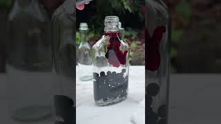 More potionmaking ASMR | Bottling Vampire's Immortality #apothecary #potions #po