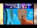 #onepiece Thousand Sunny Ship is Build as a Weapon 🤯🔥