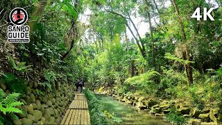 Todoroki Valley - Walking Tour | 4K TOKYO JAPAN