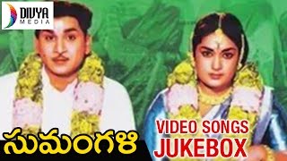 Sumangali Telugu Movie | Video Songs Jukebox | ANR | Savitri | Jaggaiah | Divya media