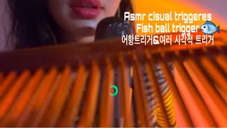 Asmr여러가지 물건들로 얼굴 터칭해드릴게요,시각적팅글,어항트리거,입소리,mouthsound,족집게