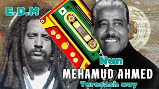 Mehamud Ahmed X Nun - Teresash woy 2020