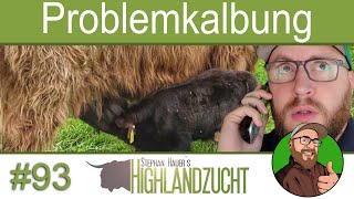 FarmVlog #93: Herbstkalbung mit Problemen