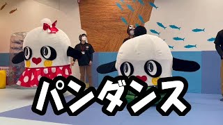 【ぱんだーるくんダンス】パンダンス 踊り方　双子のパンダの妖精（ぱんだーるくん、ぱんだーなちゃん）