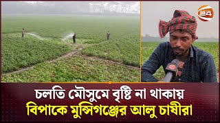 চলতি মৌসুমে বৃষ্টি না থাকায় বিপাকে মুন্সিগঞ্জের আলু চাষীরা | Munshiganj News | Channel 24