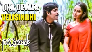 Oka Devata Velasindhi Full Video Song || Ninne Premistha Movie || Nagarjuna, Soundarya