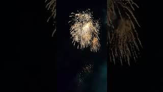 【福花火】2024/12/31 23:59分位に ライブ配信開始予定「Fireworks live  आतिशबाज़ी रहती है fogos de artifício ao vivo