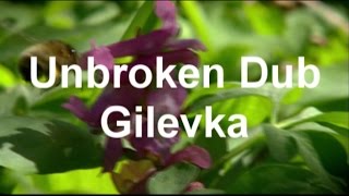 Unbroken Dub - Gilevka