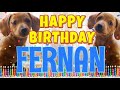 Happy Birthday Fernan! ( Funny Talking Dogs ) What Is Free On My Birthday