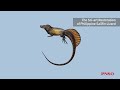 the story of building the 1 35 scientific art model of aymen the spinosaurus